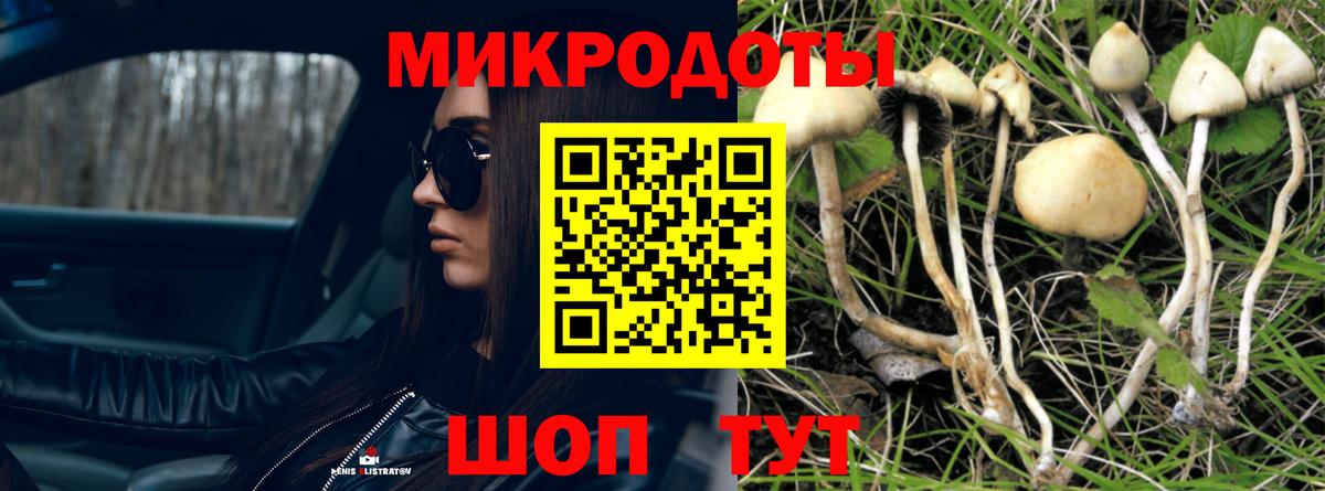 Псилоцибиновые грибы Psilocybine cubensis  Галлюциногенные грибы Psilocybine cubensis  цены наркотик  Вход с VPN  Шебекино 
